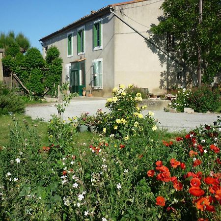 Virevent Villa Carcassonne Dış mekan fotoğraf