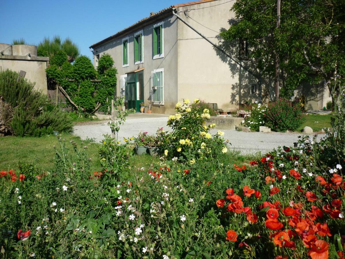 Virevent Villa Carcassonne Dış mekan fotoğraf